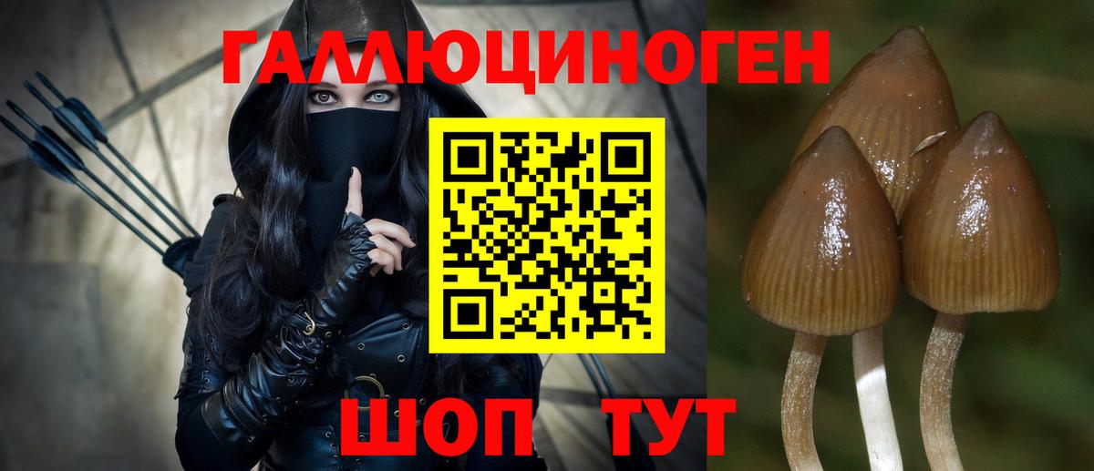 Ефремов  Псилоцибиновые грибы Psilocybe  Вход с VPN  Галлюциногенные грибы Magic Shrooms 